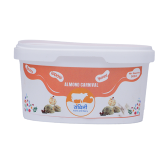 Almond Carnival Ice Cream 500 Ml Tub