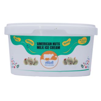 American Nuts Ice Cream 500 Ml Tub