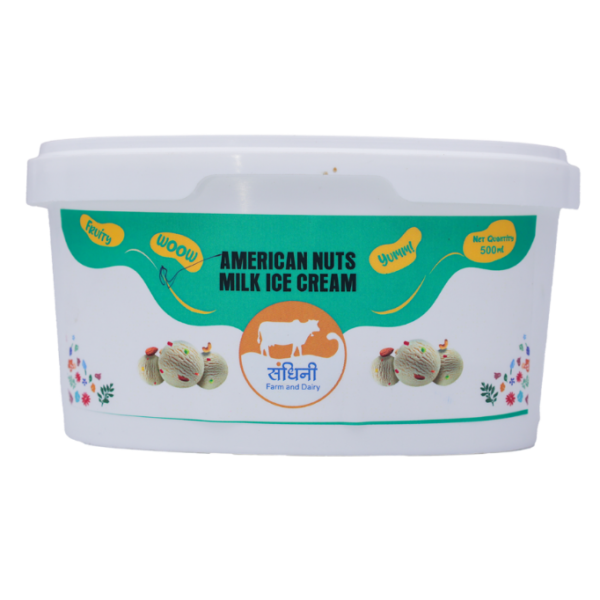AMERICAN NUTS MILK ICE CREAM (FRONT)