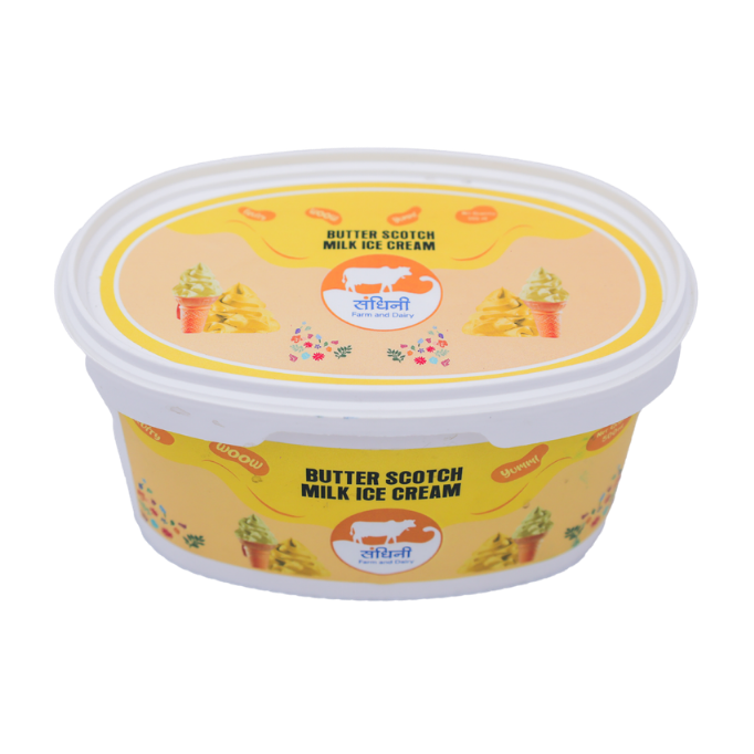 Butter Scoch Ice Cream 500 Ml Tub - Image 2