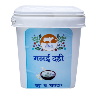 Curd Toned (Malai Dahi) 10 Litre